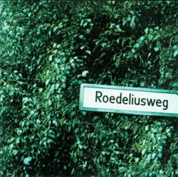 Hans-Joachim Roedelius - Roedeliusweg