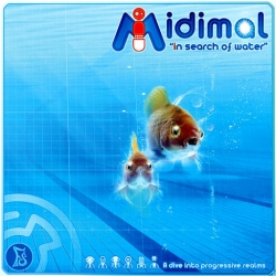 Midimal - In Search Of Water