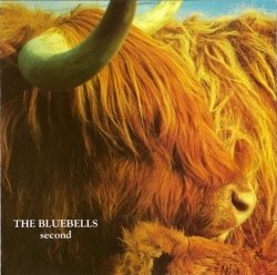The Bluebells - Second