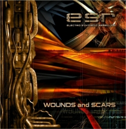 Esr - Wounds And Scars