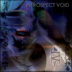 Introspect Void - Reality is Defective