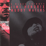 Defunkt - A Blues Tribute - Jimi Hendrix & Muddy Waters
