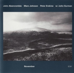 Marc Johnson - November