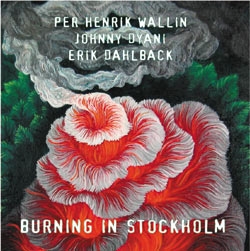 Per Henrik Wallin - Burning In Stockholm