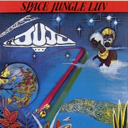 Oneness of Juju - Space Jungle Luv