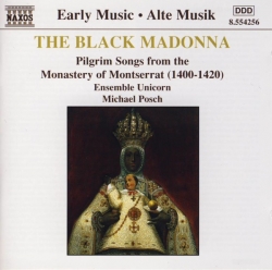 Michael Posch - The Black Madonna