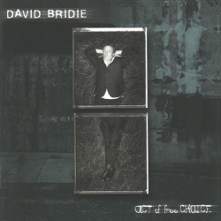 David Bridie - Act Of Free Choice