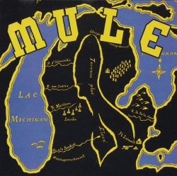 Mule - Mule