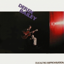 Derek Bailey - Duo & Trio Improvisation