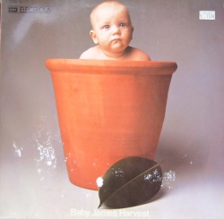 Barclay James Harvest - Baby James Harvest