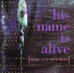 His Name Is Alive - Home Is In Your Head