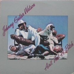 Johnny Guitar Watson - Ain't That A Bitch