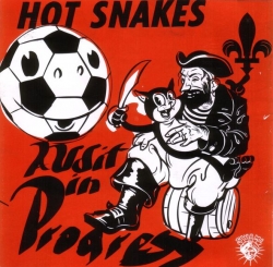 Hot Snakes - Audit In Progress