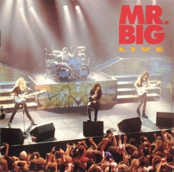 Mr. Big - Live