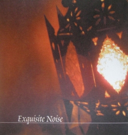 Jair-Rohm Parker Wells - Exuisite Noise