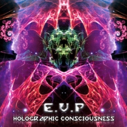 EVP - Holographic Conciousness