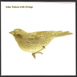 John Tchicai - John Tchicai With Strings