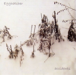 Egghatcher - Accidents