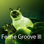 Morrigan - Feline Groove III