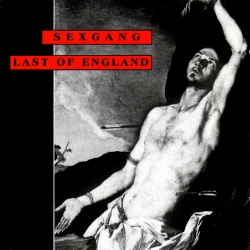 Andi Sex Gang - Last Of England