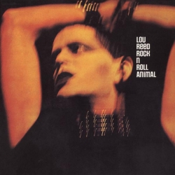 Lou Reed - Rock And Roll Animal