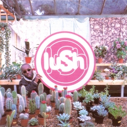 Lush - Lovelife