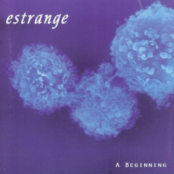 Estrange - A Beginning