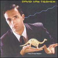 David Van Tieghem - These Things Happen