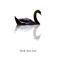 Black Swan Lane - A Long Way From Home