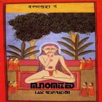 M. Nomized - Last Respiration