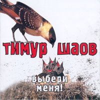 Шаов Тимур - Выбери меня