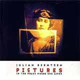 Julian Berntzen - Pictures In The House Where She Lives