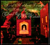 Acid Mothers Temple & The Melting Paraiso UFO - Close Encounters Of The Mutants