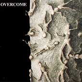 Overcome - When Beauty Dies