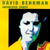 David Behrman - Unforeseen Events (1991)