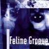 Morrigan - Feline Groove (2001)