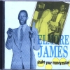 Elmore James - Shake Your Moneymaker (1986)