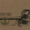 Dysrhythmia - Barriers And Passages (2006)
