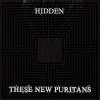 These New Puritans - Hidden (2010)