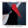 Michael Formanek - Wide Open Spaces (1990)