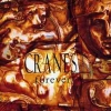 Cranes - Forever (1993)