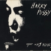 Harry Pussy - What Was Music? (1996)