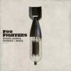 Foo Fighters - Echoes, Silence, Patience & Grace [Bonus Track]