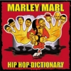 Marley Marl - Hip Hop Dictionary (2000)