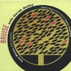 Mark Sanders - Bruise With Derek Bailey (2006)