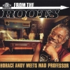Horace Andy - From The Roots (2004)