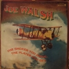 Joe Walsh - The Smoker You Drink, The Player You Get (1973)