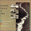 John McLaughlin - Passion, Grace & Fire (2001)