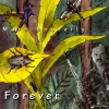 Marc Bourelly - Forever (1992)