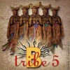 B-Tribe - 5 (2003)